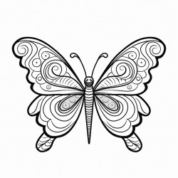 butterfly