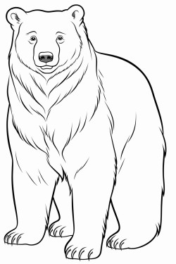 a full body coloring page of a bear