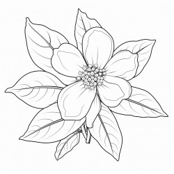 one anthrium flower sorrounded by leaves