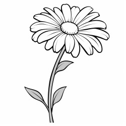 long stemmed daisy