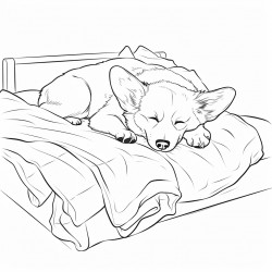 lazy corgi slepping in the bed