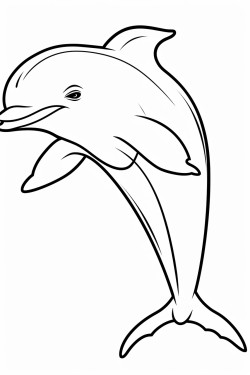 dolphin