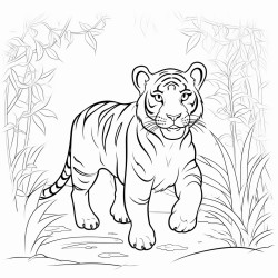 tiger walking through jungle