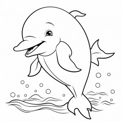 cute dolphin