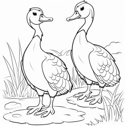 deux oiseaux qui volent