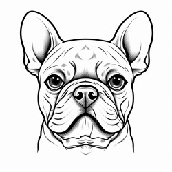 portrait of a french bulldog face with tongue showing black patches on its eyes