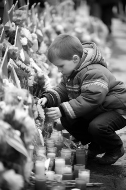 rydy kot o ciemnym futrze pody za motylami zapominajc o wszystkim innym uda si w stron ki gdzie kwiaty rosy jak w bajce a zapachy byy jak z maminego ciasta nagle z gstwiny krzakw wyoni si may niemiay krlik mia biae futro i du przeraon buzi