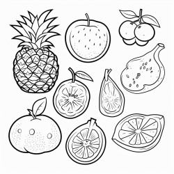 fruits