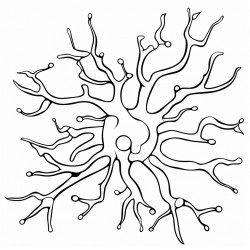 neuron synapse