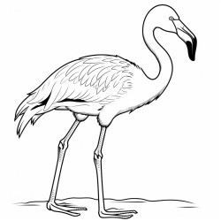 a flamingo standing with its head raised looking around
