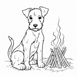 a short haired fox terrier with short tail sitting by fire