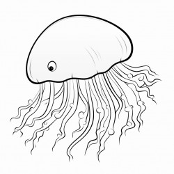 jellyfish