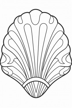 seashell with design