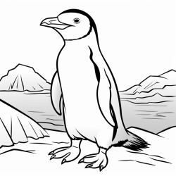 a cute icelandic chinstrap penguin