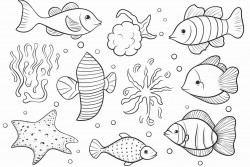 sea animals