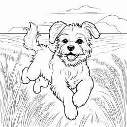 dog running in a wheat field