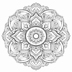 a mandala with intricate geometric paisley patterns