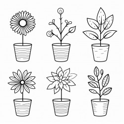 plants