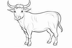 vaca