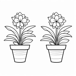 plants