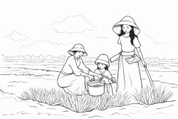 ugandees mais field where three ugandees adults are harvesting the field