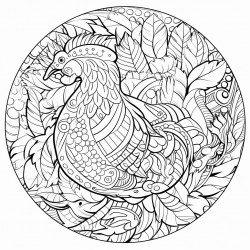 mandala turkey