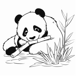 panda sleeping wile others eating grass