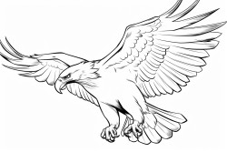 ninox connivens flying