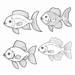peces