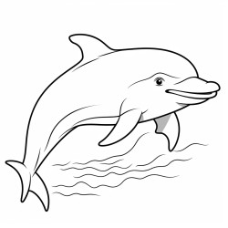 dolphin