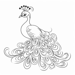 simple image of peacock for very small kids coloring book