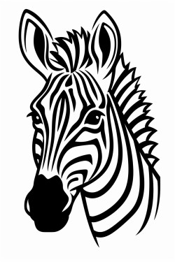 a simple zebra