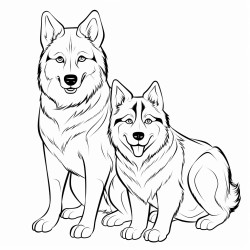two husky dogs