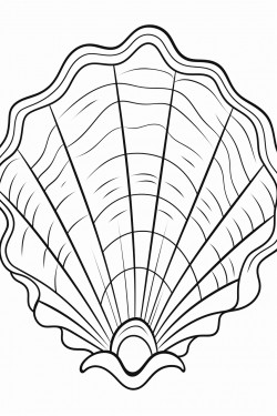 seashell with design