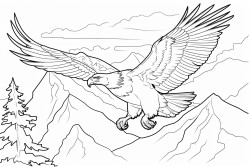 ninox connivens flying