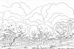 australian dream time bush fire