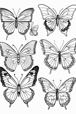butterflies