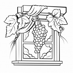 grapes hanged from a brach outside room corner window