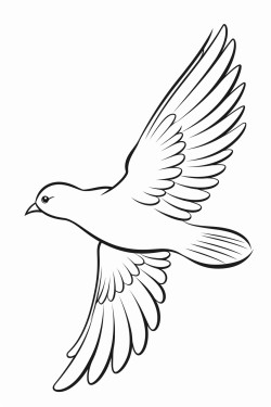 simple image of flying bird for children coloring book black and white image