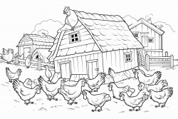 a henhouse in the midst of a herd without animals