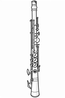 only instrument music flute