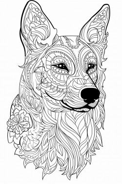 my dog