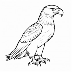 simple and cute eagle outline drawing with thin bold lines