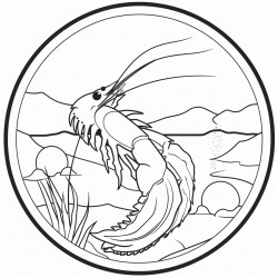 a shrimp in the ocean cooked