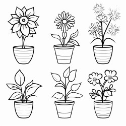 plants