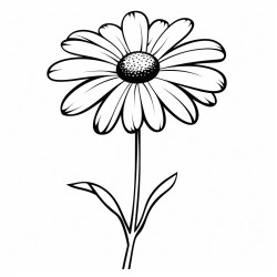 long stemmed daisy