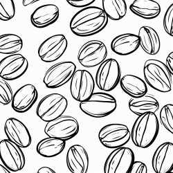coffee beans pattern