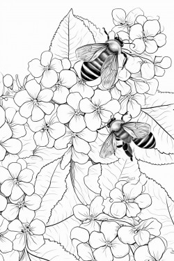 honey bees buzz among the hydrangea flowers