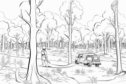 australian bushland with fire fighters