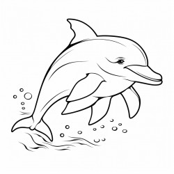 dolphin